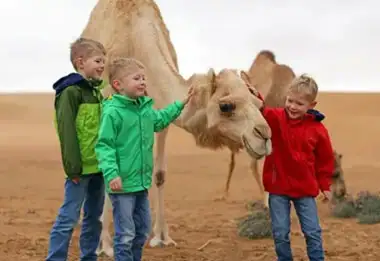 Fun Riyadh Desert Safari Activities for Kids to Enjoy