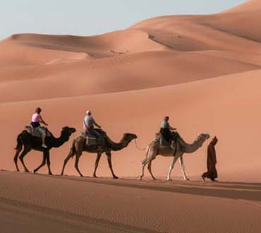 camel trekking riyadh sidebar