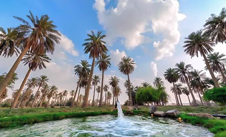 al ahsaa tour from riyadh