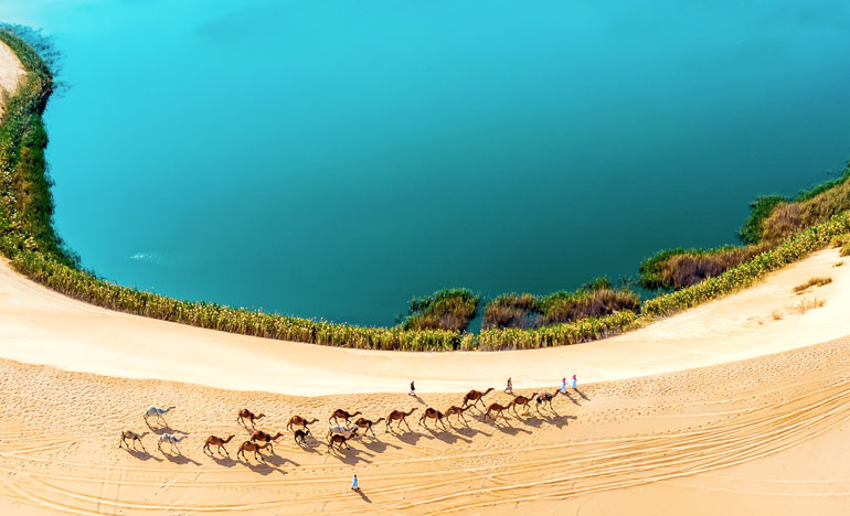 al ahsaa tour from riyadh