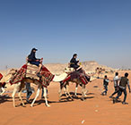 camel trekking riyadh