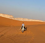 desert horse riding riyadh