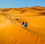 morning desert safari riyadh