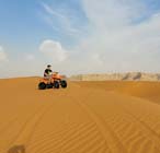 morning desert safari riyadh